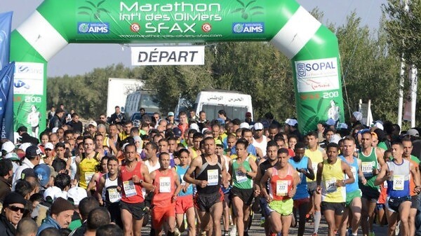 Sfax Marathon International Olive Trees