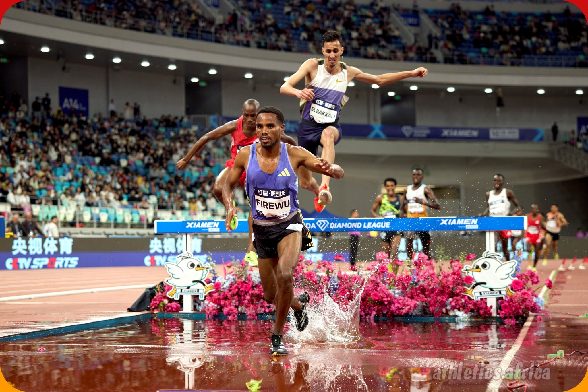Samuel Firewu sets a meeting record in men’s 3000m SC, taking the win in 8:05.61 at Xiamen DL 2025 / Photo credit: Marta Gorczy?ska for Diamond League AG